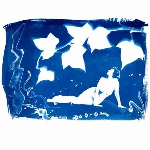 nude with ivy, cyanotype by Emma Plunkett art