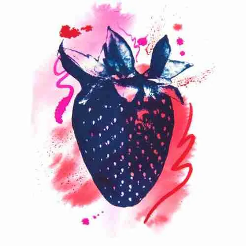 cyanotype strawberry with pink splashes by Emma Plunkett Art