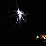 Light drawing with Emma Plunkett Art
