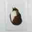 Cat Greeting Card