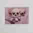Pink skulls, oil painting on a greeting card
