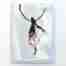 Arial performer greeting card