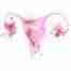 Uterus watercolour art print