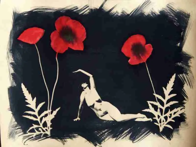 Coffee toned cyanotype with poppies and nude
