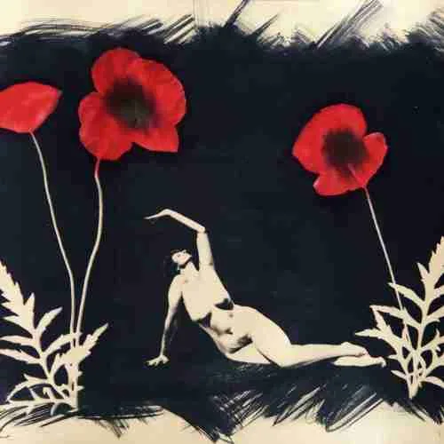 Coffee toned cyanotype with poppies and nude