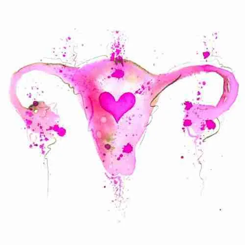 uterus art watercolour in pink