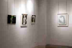 Jardin Nazari, sala de exposiciones, arte de Emma Plunkett y Gareth Lister