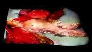 semi erotic art film of a nude swimmer