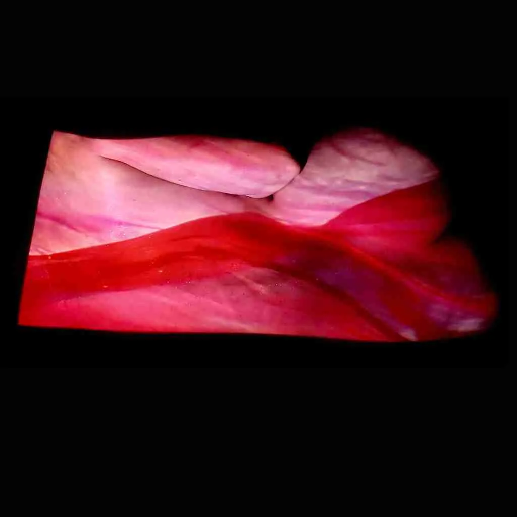 Contact me for a quote, if you wish to book the live intimate experience -  a small audience is invited to observe the swimmer posing nude in the dark, with the film projected directly on her, in a real-life art installation with the spoken word.