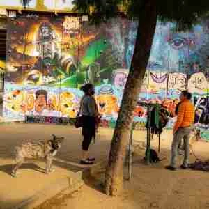 plaza Botticelli graffiti