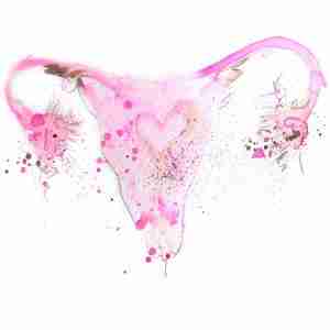 pretty pink watercolour uterus art