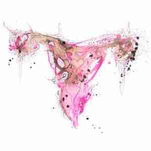 pretty pink watercolour uterus art
