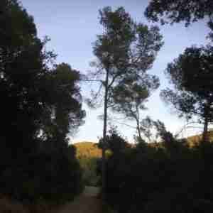 nearby countryside