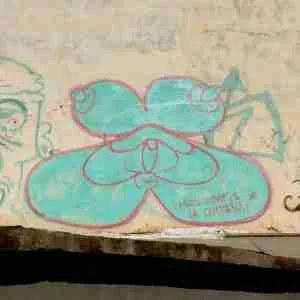 female anatomy graffiti
