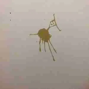 graffiti on bar toilet door - untitled