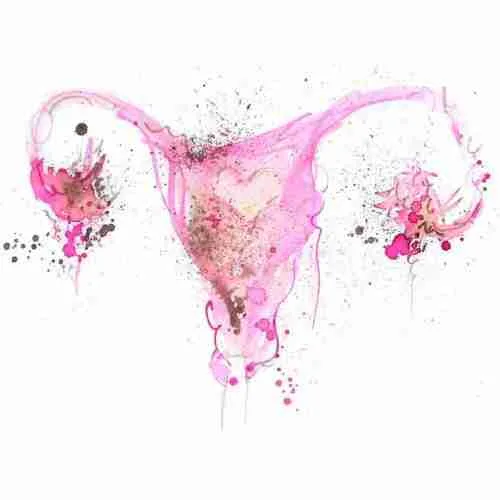 Uterus 7 by Emma Plunkett