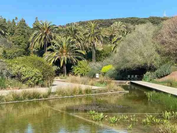 Botanical gardens montjuic barcelona