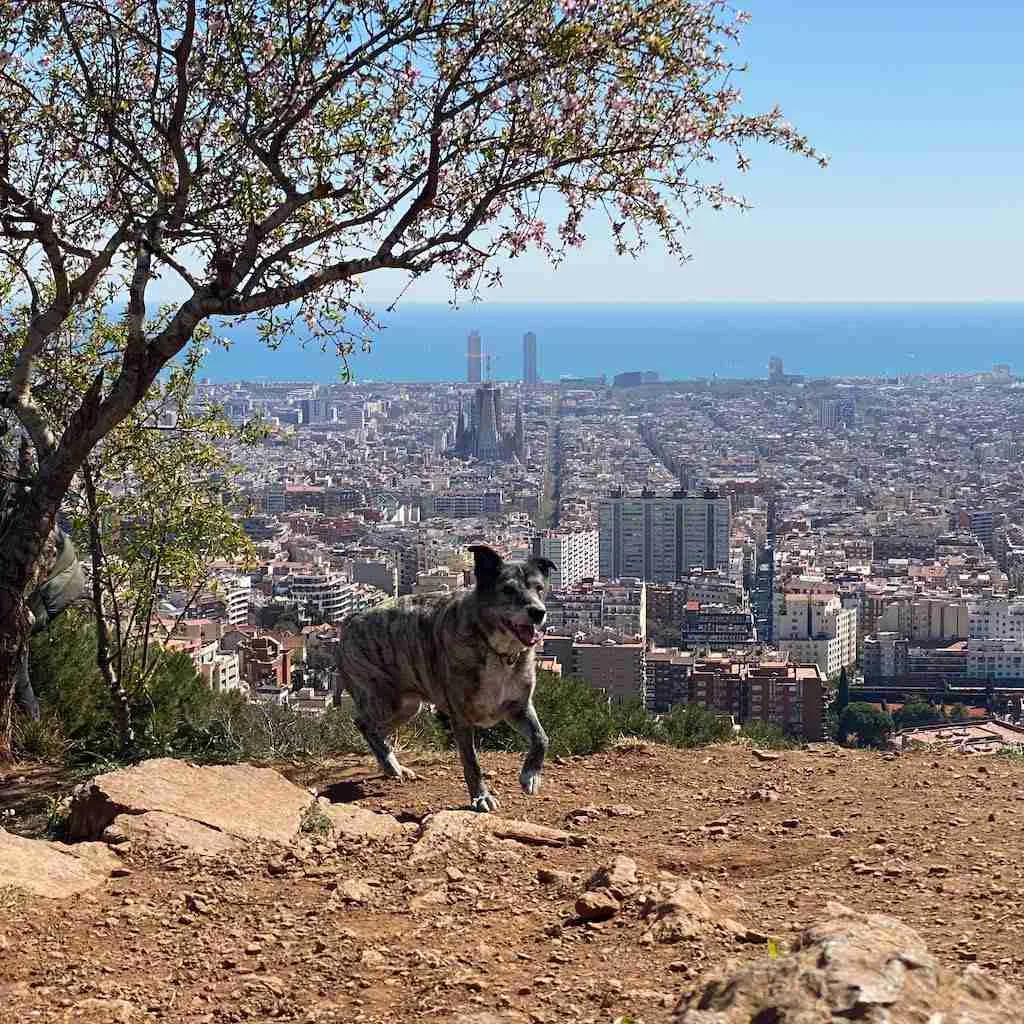 Walks around Barcelona