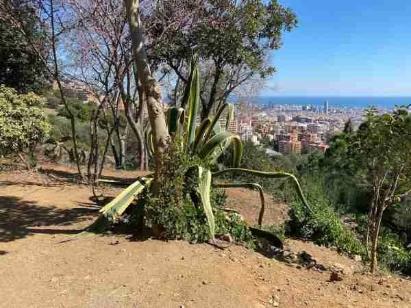 Mirador de Joan Sales