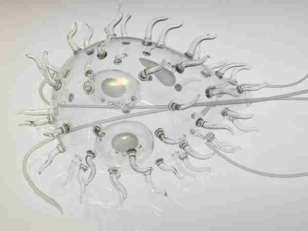 Giardia lamblia protozoan by British artist Luke Jerram.