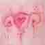 pink oil painting uterus art