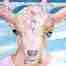 the face of an innocent baby goat, painted in oils