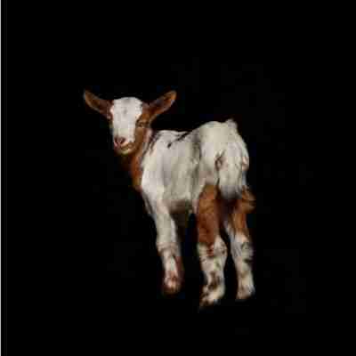 baby goat photo, scapegoat