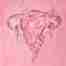 large pink painting of a uterus