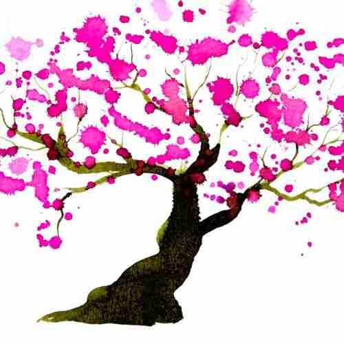 Almond tree in blossom watercolour