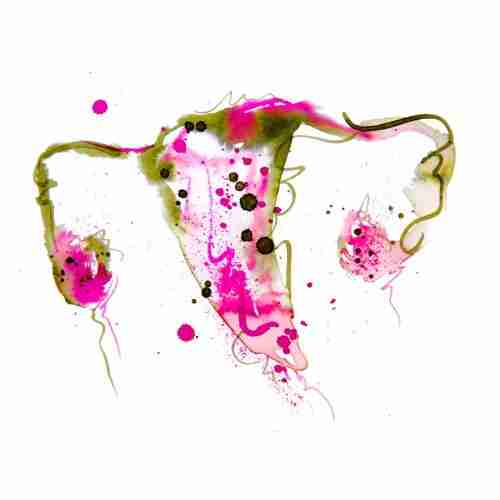 uterus art