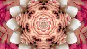 Avant-garde video art by Emma Plunkett and Marianna Magurudumian-O’Reilly