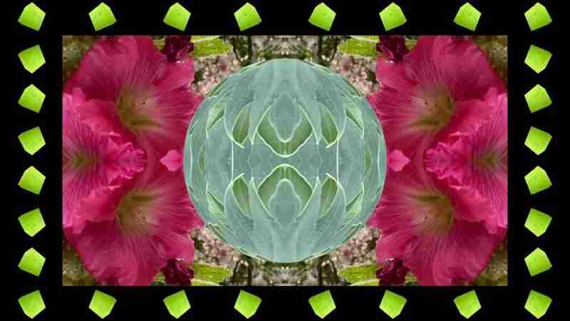 plant leaves and flowers mixed with mirrored effects and layers