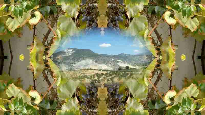 visual edit of La Alpujarra and an Andalusian window draped with grapes.