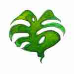 Monstera leaf watercolour tattoo design