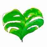 Monstera leaf watercolour tattoo design