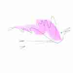 fountain pen line drawing bird tattoo with pink watercolour
