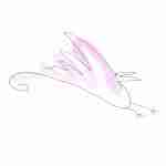 fountain pen line drawing bird tattoo with pink watercolour