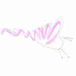 fountain pen line drawing bird tattoo with pink watercolour
