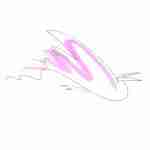 fountain pen line drawing bird tattoo with pink watercolour