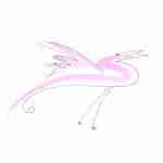 fountain pen line drawing bird tattoo with pink watercolour