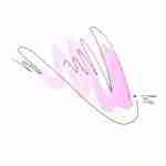 fountain pen line drawing bird tattoo with pink watercolour