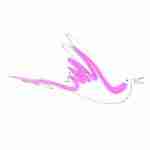 fountain pen line drawing bird tattoo with pink watercolour