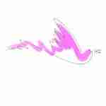 fountain pen line drawing bird tattoo with pink watercolour