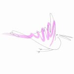 fountain pen line drawing bird tattoo with pink watercolour