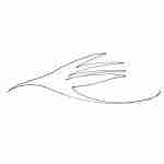 simple arty bird tattoo design