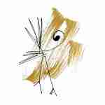 simple arty bird tattoo design