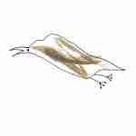 simple arty bird tattoo design
