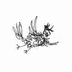 whimsical line drawing tattoo design of a chicken scribble