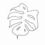 whimsical line drawing tattoo design of a monstera leaf
