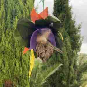 creative nature walk bundles